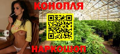 хмурый Можга