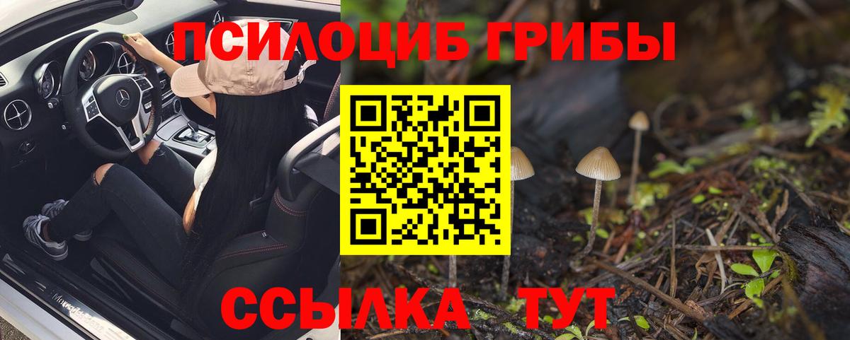 Борисоглебск  Псилоцибиновые грибы MAGIC MUSHROOMS  Псилоцибиновые грибы прущие грибы  Вход с VPN 
